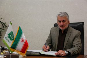 معاون حقوقی و فنی